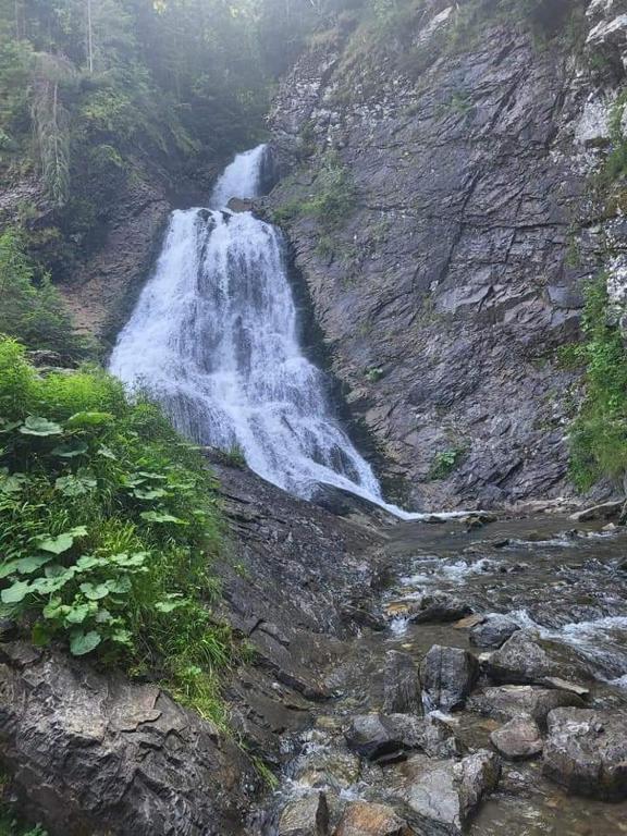 Cascadă și natură în Apuseni